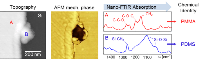 Application-nano-FTIR-of-molecular-fingerprints-1