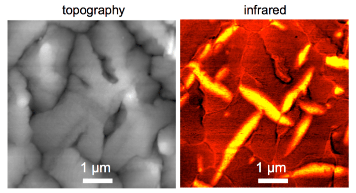 Pentacene molecular disorder-29Jun2015-FHo