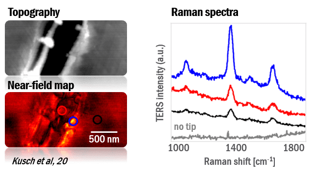 correlative analysis with visible nanoscopy + TERS+visSNOM SERS inspection