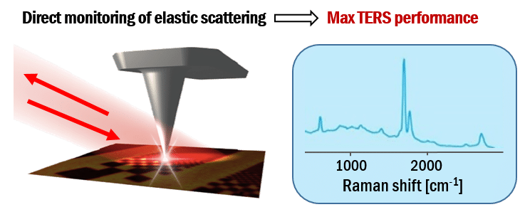 monitoring of s-SNOM scattering enables maximization of TERS signal