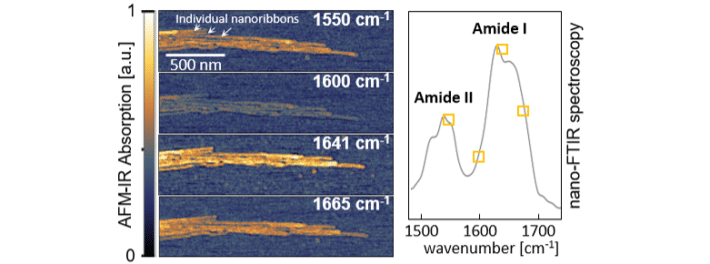 neaspec Journal CLUB Protein nanoribbons enabled by tapping AFM-IR